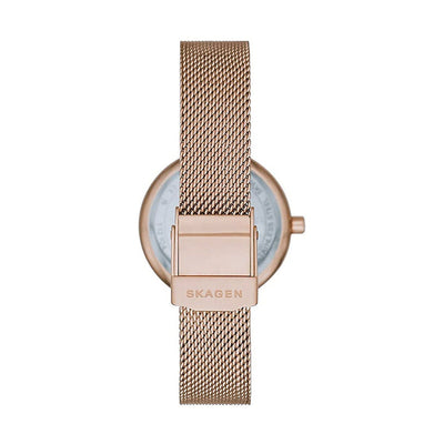 Montre Femme Skagen AMBERLINE (Ø 28 mm)