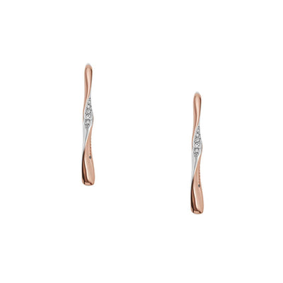 Boucles d´oreilles Femme Skagen SKJ1587998