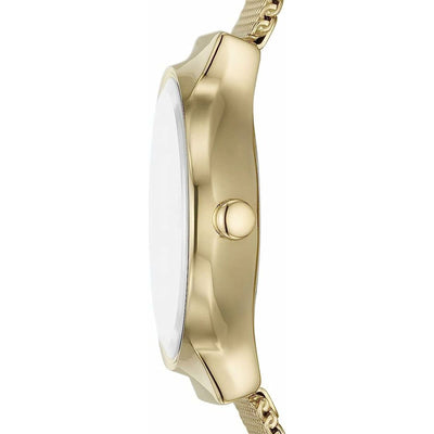 Montre Femme Skagen SKW3084